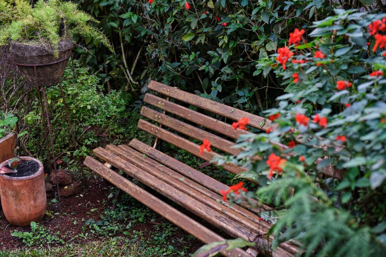 Tio Isolda Artes & Hospedaria Casa Branca Dış mekan fotoğraf