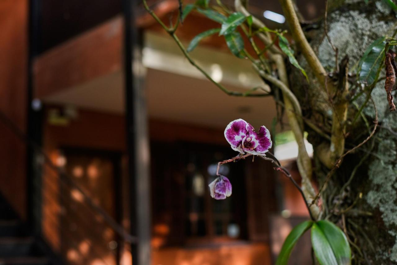 Tio Isolda Artes & Hospedaria Casa Branca Dış mekan fotoğraf